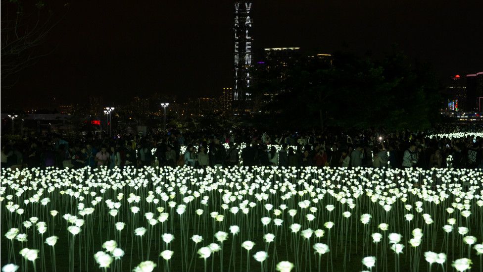 华缘社区 韩国led灯玫瑰花海世界巡回首站点亮香港海滨